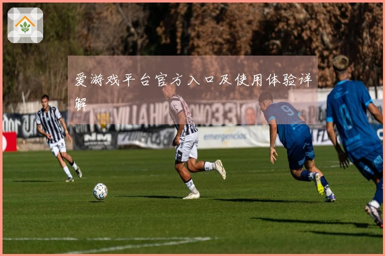 爱游戏平台官方入口及使用体验详解