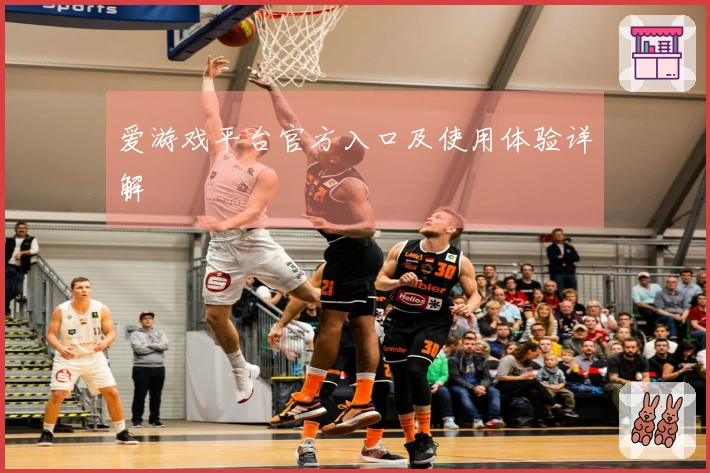 爱游戏平台官方入口及使用体验详解